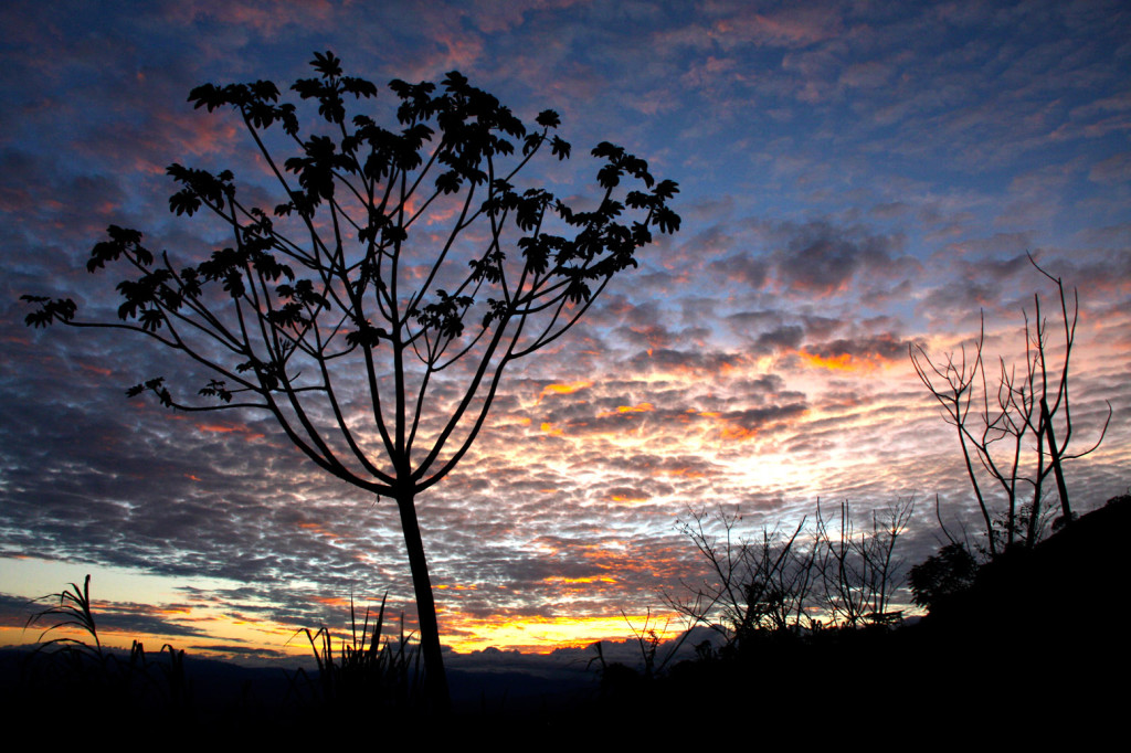 Atardeceres mágicos (c) Gustavo Saavedra Calle