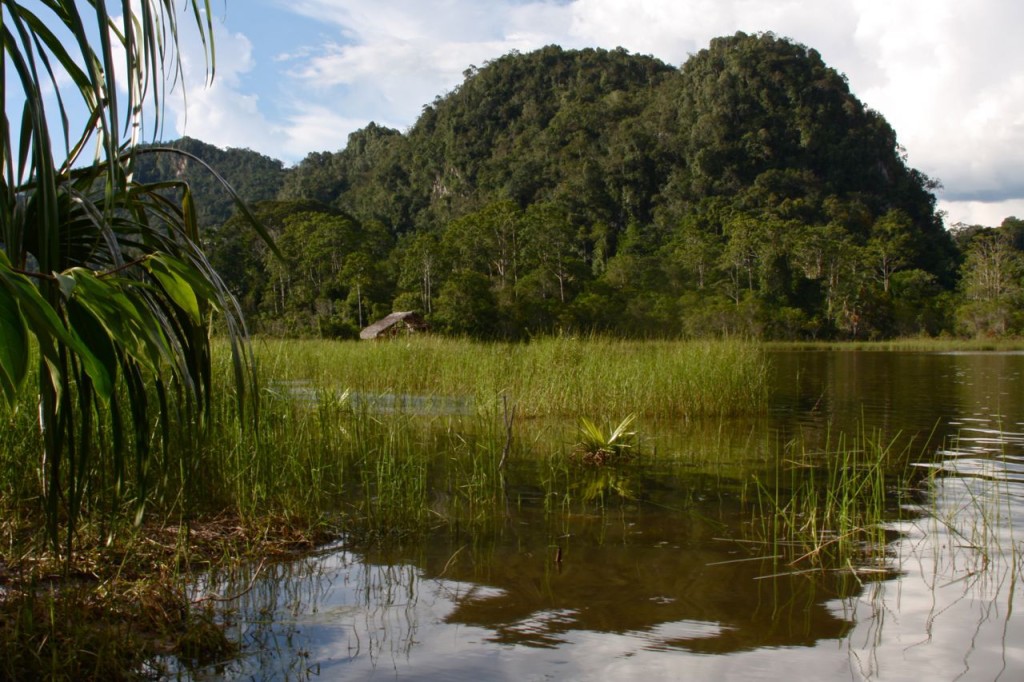Selva y lagunas (c) Gustavo Saavedra Calle