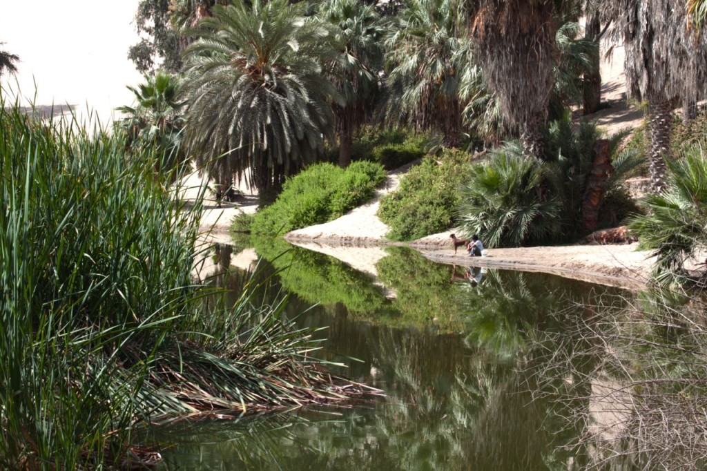 Oasis (c) Gustavo Saavedra Calle